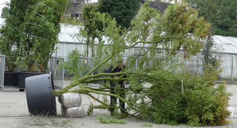 Chargement d'un arbre