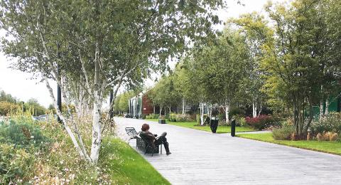 Grande promenade arborée pour flâner 