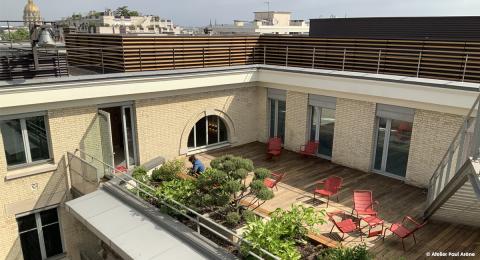 Terrasse végétalisée en plein Paris