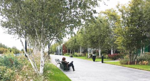 Grande promenade arborée pour flâner