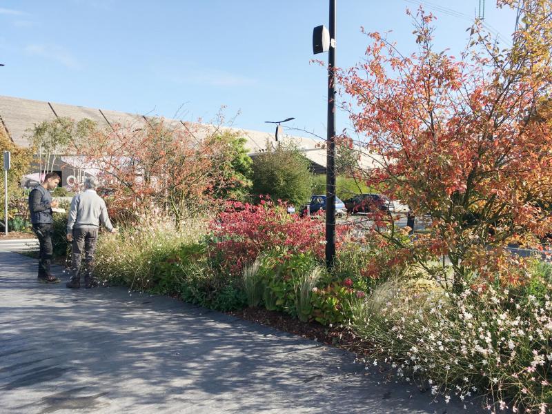 Echanges avec le jardinier du site lors de notre mission de suivi régulier