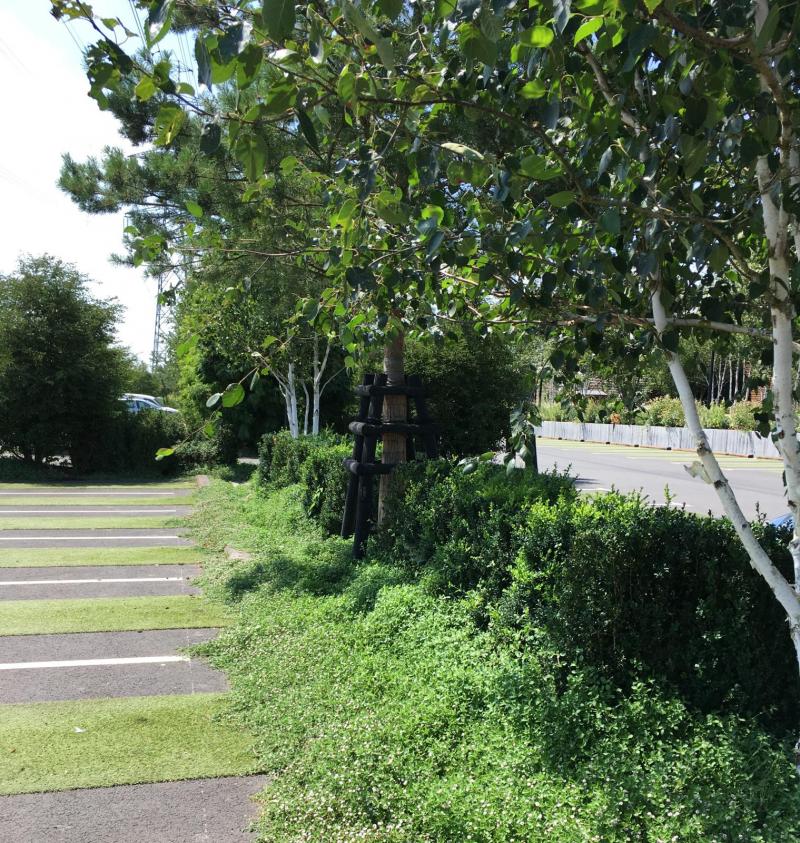 Un écrin de verdure encadre le parc de stationnement central