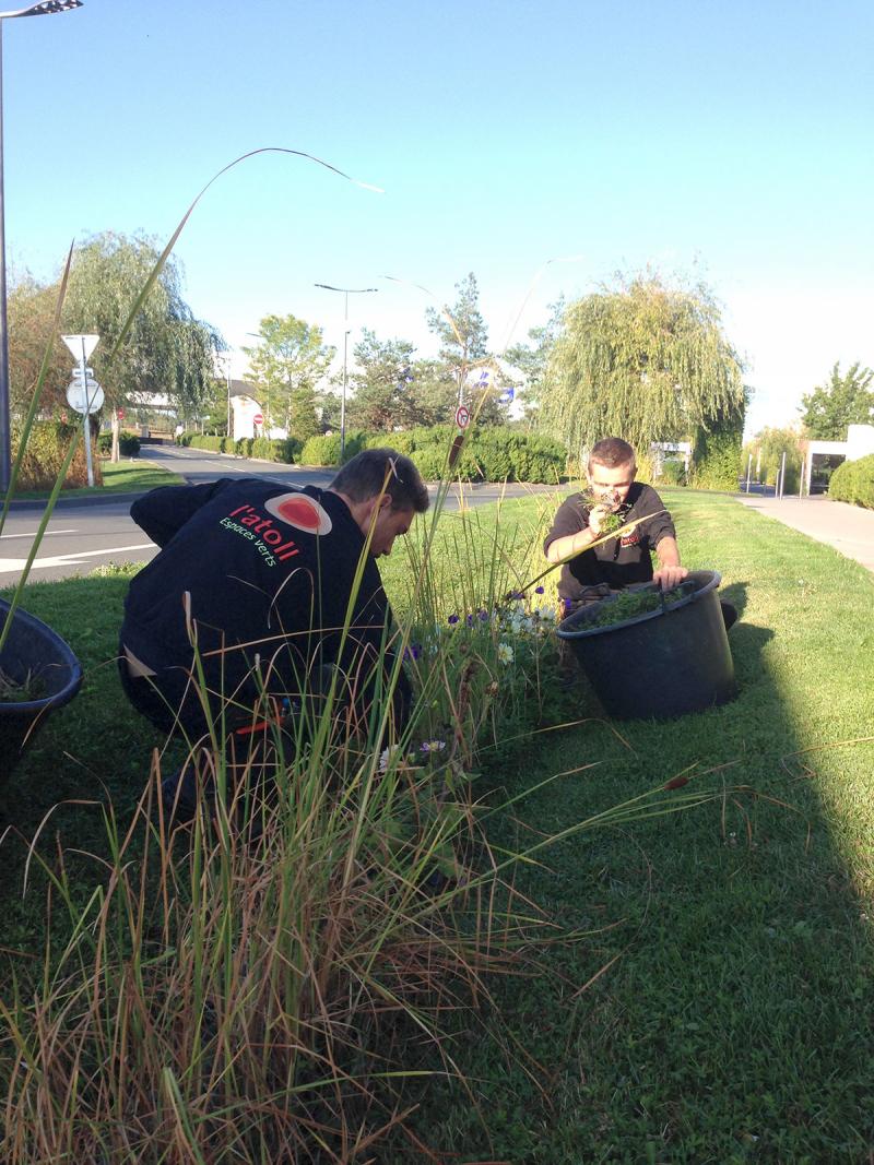 Former et sensibiliser les jeunes apprentis jardiniers aux fondamental du métier