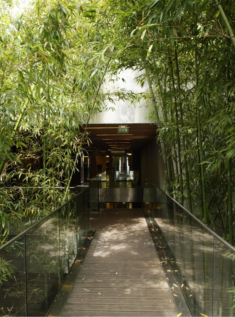 Pour rejoindre les parkings souterrains, les bambous plantés dans les trémies nous accueillent sous leur voûte