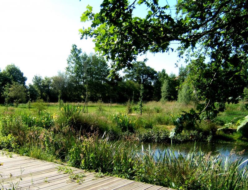 Un espace de balade et de découverte du milieu naturel humide