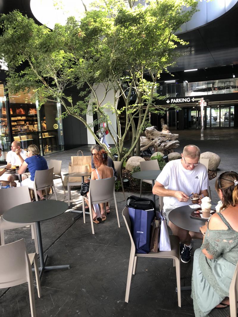 L'arbre fédère les espaces de pause, on aime le contempler, il donne une certaine intimité aux lieux 