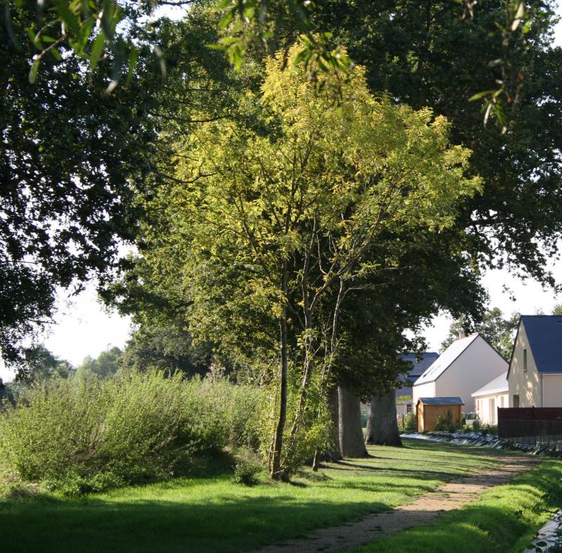 A quelques pas des habitations avec la préservation d'un maillage bocager structurant 