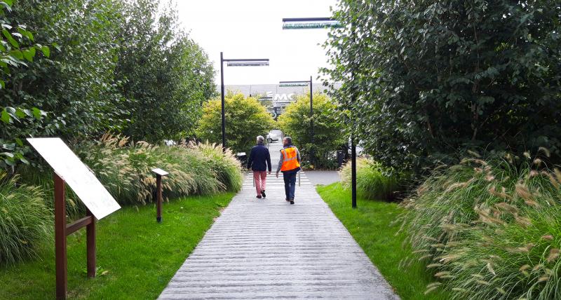 Visite de site avec le jardinier : observer l'évolution du tableau paysager au fil des saisons