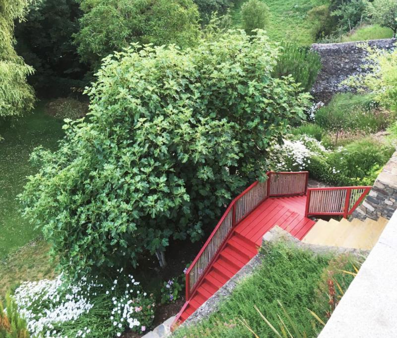 Un jardin rythmé par la couleur et les matières