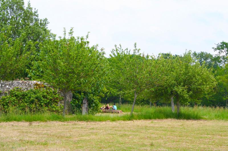 ...Repos sous les arbres