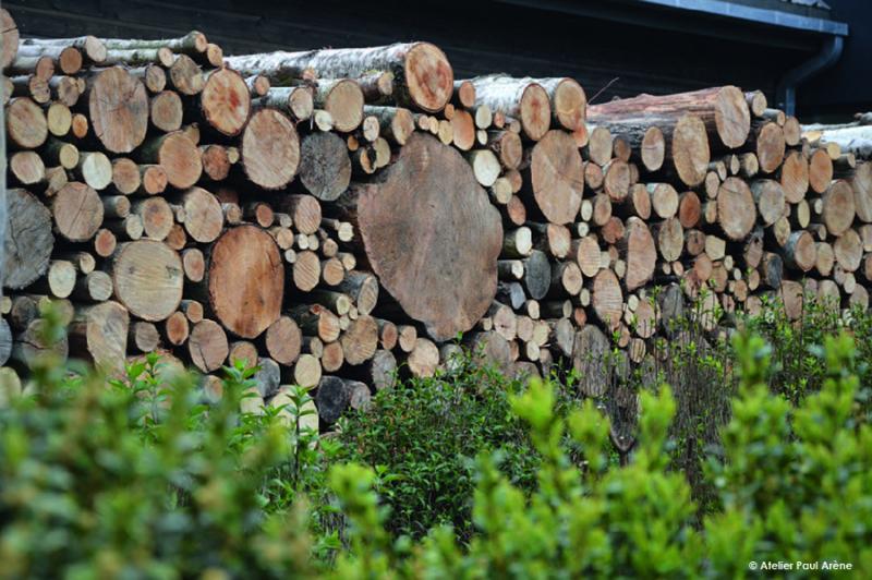 Les rondins de bois viennent créer une toile de fond et anime l'espace