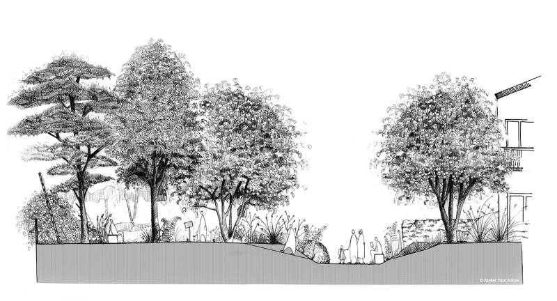 Une promenade pour découvrir un sous-bois vivant