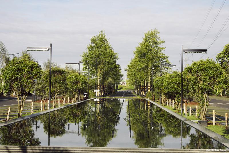Le bassin central dans l'alignement de la voie d'entrée