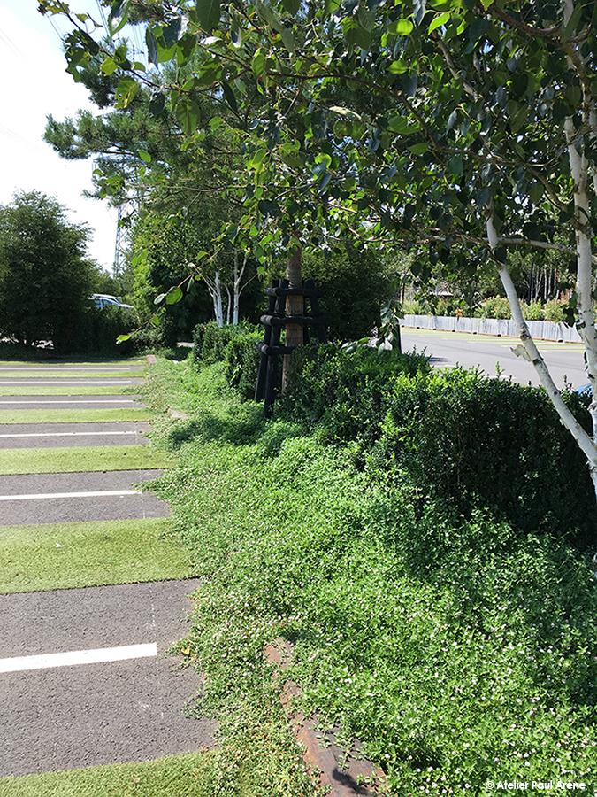Un écrin de verdure encadre le parc de stationnement central