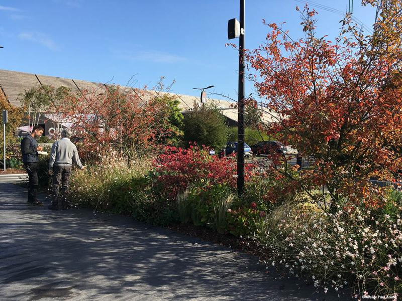 Echanges avec le jardinier du site lors de notre mission de suivi régulier