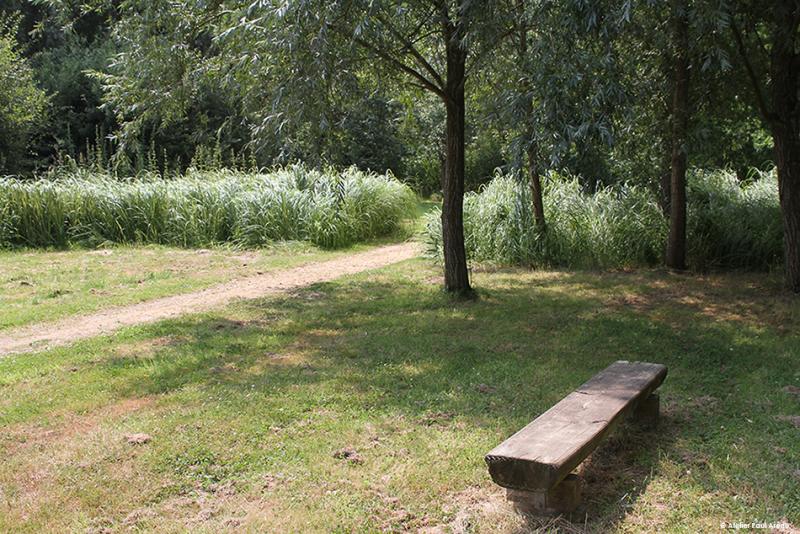 Des aménagements en adéquation avec la naturalité du site