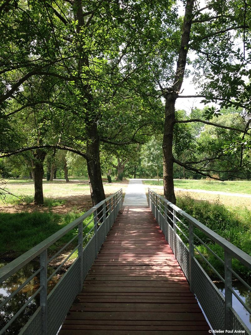 Une nouvelle passerelle frayant son chemin entre les arbres