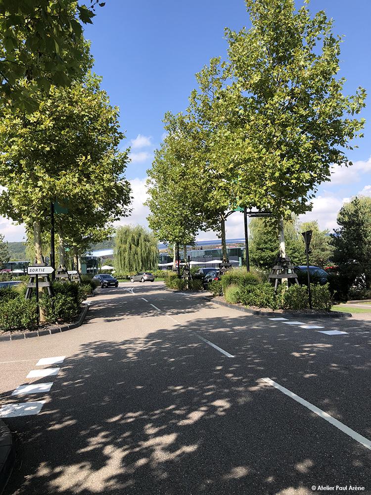 Un traitement doux et arboré des espaces de stationnement au cœur du projet