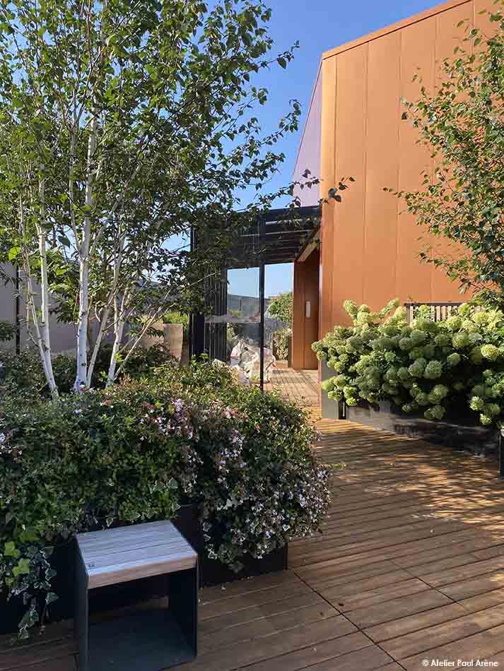La végétation forme une canopée légère, tamisant la lumière et offrant une ombre douce sur la terrasse