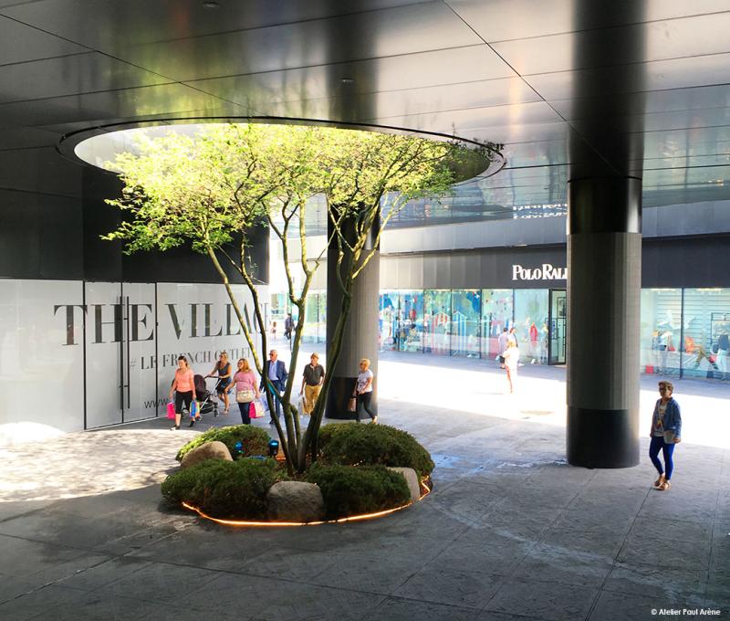 Dans la promenade commerciale, l'arbre a toujours une place de choix et surprend le visiteur par son élégante silhouette