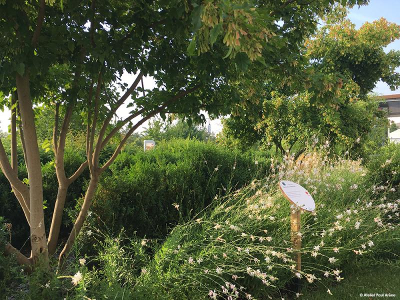 Le long de la promenade, un jardin par séquences de plans nous accompagne
