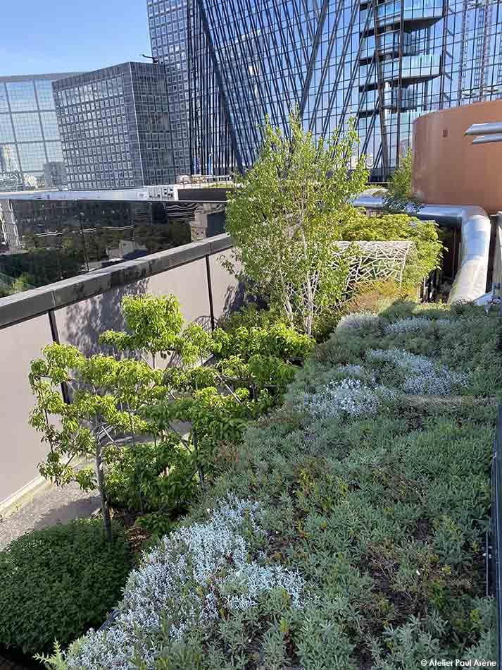 À la lisière du paysage vertical de la Défense, un écrin végétal s'infiltre en hauteur