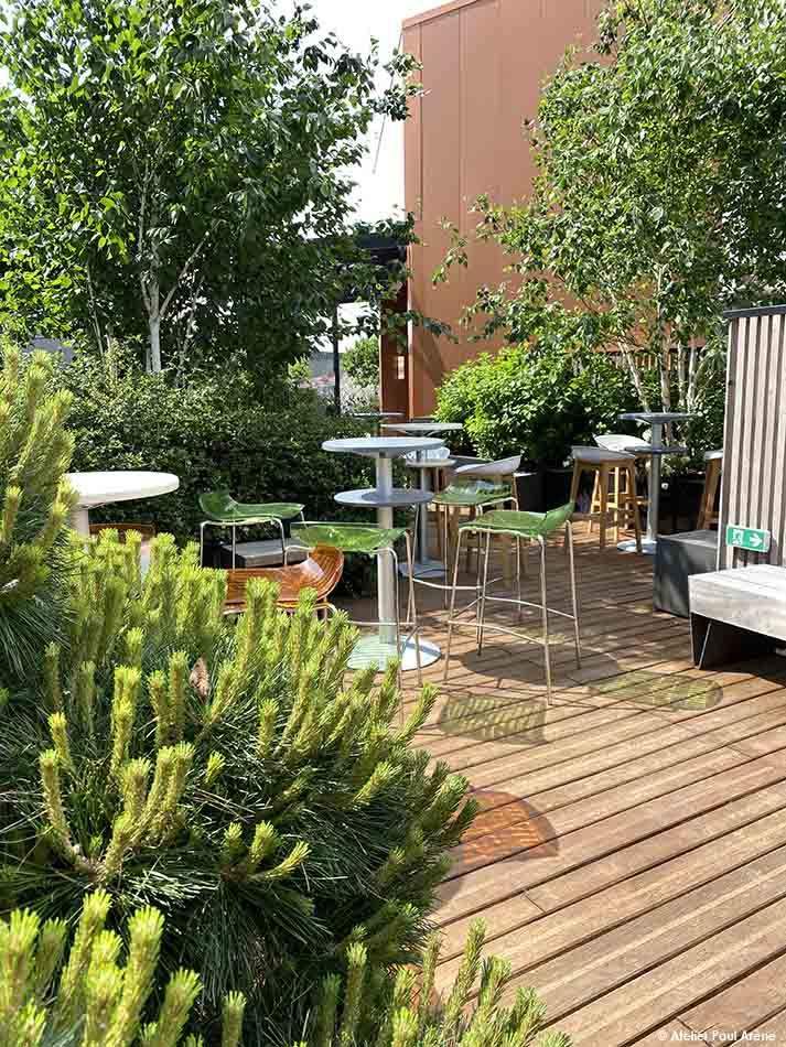 Espace ombragé pour la végétation, propice à la détente et la convivialité