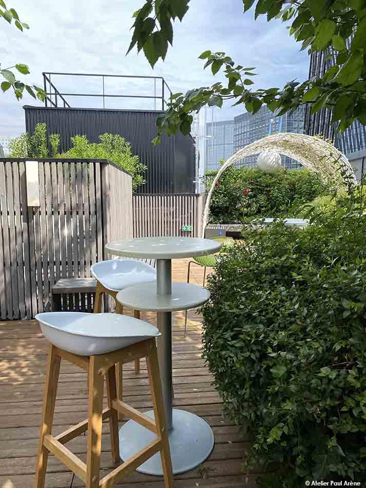 Espace ombragé pour la végétation, propice à la détente et la convivialité