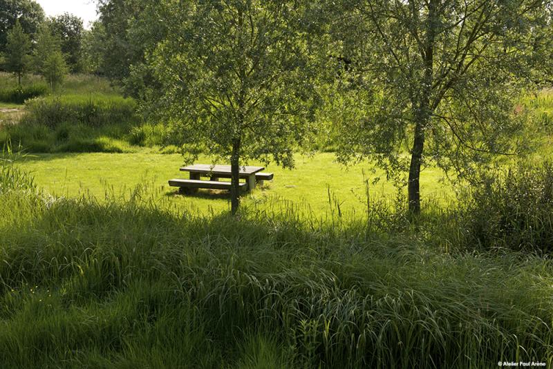 Lieux de pause et de quiétude au cœur d'une prairie fauchée