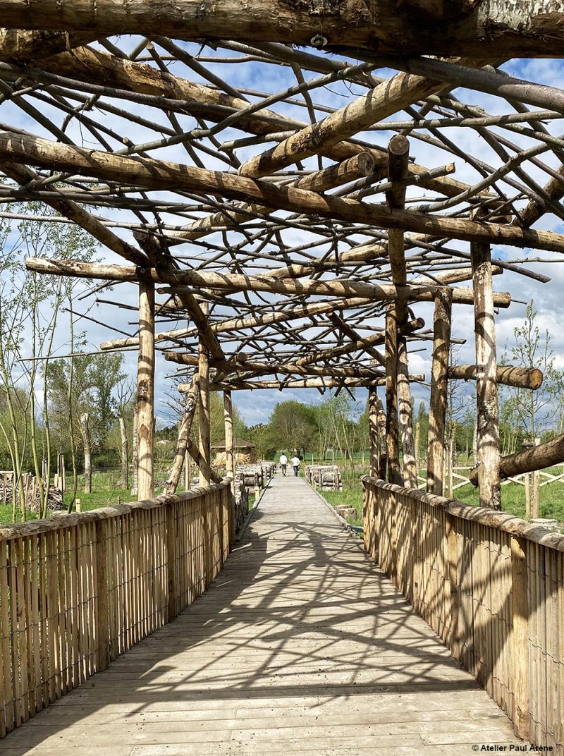 Passerelle de l'allée des Duchesses : entre ombre et lumière