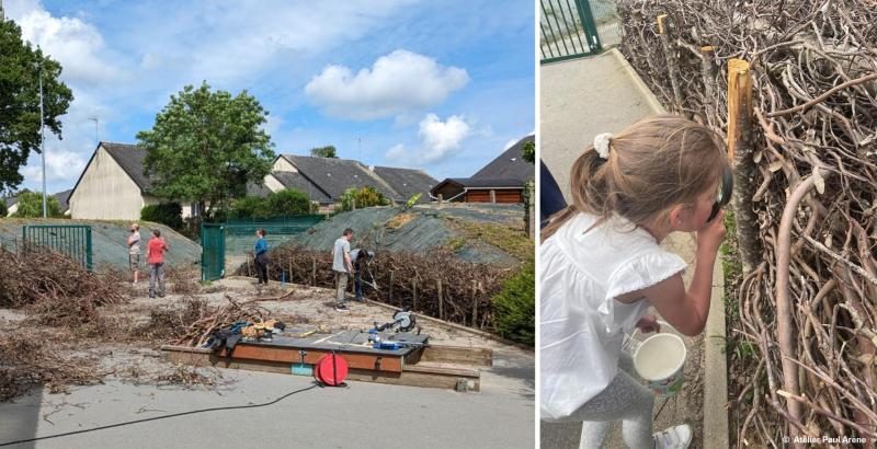 Atelier de fabrication d’une haie sèche  avec parents et enfants - École Saint-Joseph, Segré-en-Anjou Bleu (49)