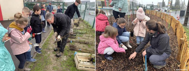 Projet «Micro-forêt», plantation avec les élèves de l’École Saint-Joseph - Segré-en-Anjou Bleu (49)