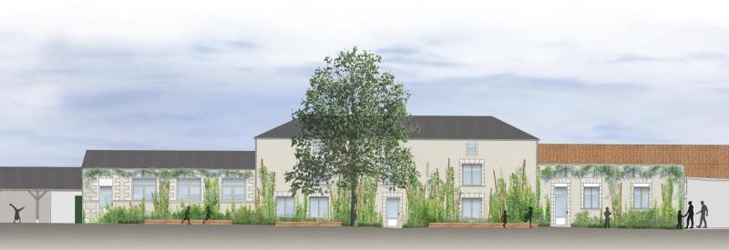 Des plantations en façade pour rafraîchir les classes - cour d’école de Louzy (79)