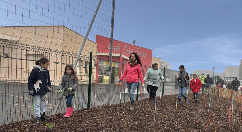 Projet «Micro-forêt», plantation avec les élèves de l’École Saint-Joseph - Segré-en-Anjou Bleu (49)