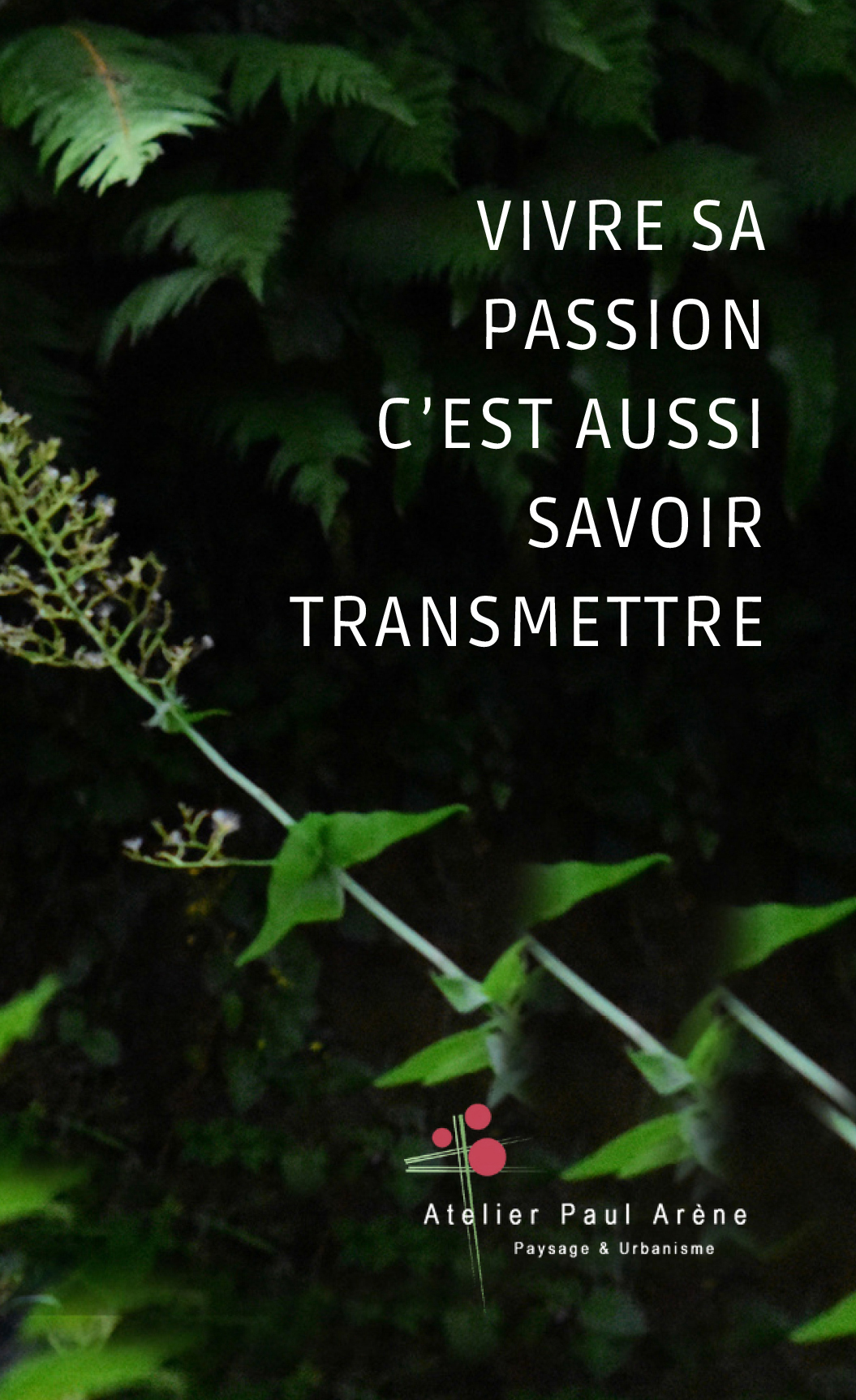 transmission-rogné3.jpg